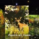 불사조 제5관 이미지