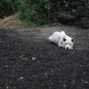 새롬미디어 이미지