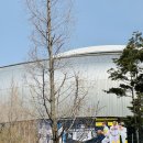 (주)팀코코리아 | Mlb 서울시리즈 LA다저스 vs 키움 연습경기 직관후기 ⚾️🏟️ 입장/굿즈/고척4층