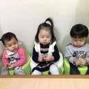 해뜨는도장 네이버블로그