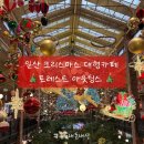 성인 포크기타 | [경기/일산] 크리스마스 대형 카페 “포레스트아웃팅스” 내돈내산 솔직후기(아주..살짝 실망)