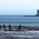 테라스펜션 이미지