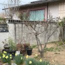 우리들의 경주가 생각나요 이미지