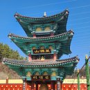 상지태양광 건립공사 | 영천 부처님오신날 가볼만한 사찰 만불사 절