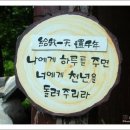 달콩 이미지