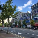 수원-1263 이미지