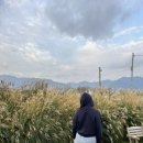 새뜸다락 이미지