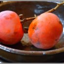 황금을따는마을 이미지