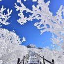 산처럼물처럼 이미지