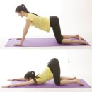 아담스 하우스 휘트니스 이미지