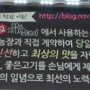 까망돼지 （주안점） 이미지