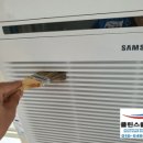 내리초등학교 이미지