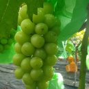 기산농장 이미지