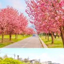 미사경정공원 이미지