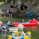 캠퍼벨리민박 이미지