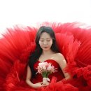 애견동반 모스앤코튼 촬영 후기 [짝꿍코드 6만원 할인] 웨딩스냅/서울 야외 웨딩스튜디오