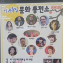 허리우드 이미지