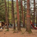 무릉계곡힐링캠프장 이미지