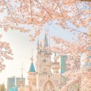 탄천유수지내 화장실 | 희우정로) 벚꽃길, 여의도 윤중로 벚꽃길, 정독도서관, 서울숲, 서울어린이대공원, 유수지공원 탄천 벚꽃길