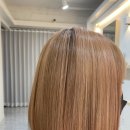 새생명헤어아트 | 리아트헤어, 탈색모부터 손상모까지 완벽 복구! 서울 뉴트릭스 클리닉의 성지 방문기