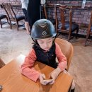 주마강산승마클럽 | 강릉체험 가볼만한곳 주마강산승마클럽