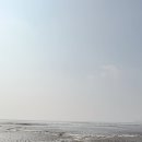 선두5리항 이미지