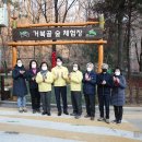 디자인거북골 이미지