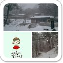 우두산샘물 | 우두산 신년 눈꽃 산행