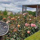 송이공원 화장실 이미지