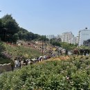 그순간꽃부천 이미지