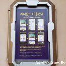[에버랜드 튤립축제] 2018년 4월 21일 방문기