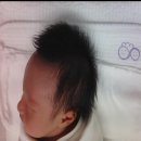 생생돈까스 김천역점 | (늦은)김천시공공산후조리원 후기_슬기로운 조리원 생활