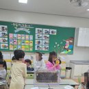 남양주 용신 초등학교 꿀벌 생태 수업 후기