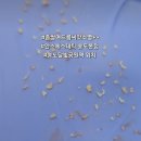 내기초등학교 | 여드름과 모공넓어지는 이유,확실한 해결책!!