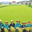 두북농협 미곡종합처리장 이미지