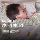 상인초등학교+사랑샘유치원 | 크레므앙팡 낮잠이불, 닳아도 또 사게 되는 애착이불