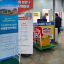 황박사목포쫀디기목포종합버스 이미지