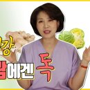 위장에 좋다는 양배추, 생강 잘못 먹으면 독! 제대로 먹는 법 알려드립니다! [포드맵식품] #포드맵 조회수 15만회 2년 전 이미지