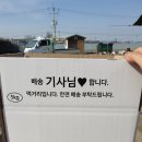 성주참외10kg 18,000원 무배 판매중. 이미지