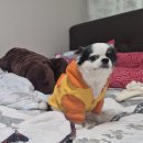 한스동물병원 이미지