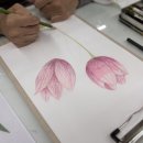 나의 그림 연구소(수채화) 이미지