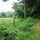 만사농장 이미지