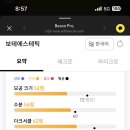 보테에스테틱 이미지