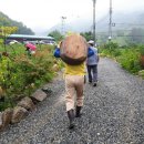 자미원농장 이미지