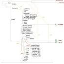 북부유전자 이미지