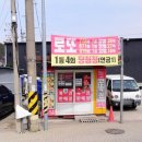 보은할인마트