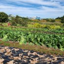 압해공인중개사사무소 이미지