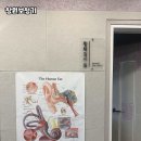 보청기클리닉 | 창원보청기, 직접 받아본 리얼 후기와 선택 노하우