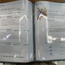 도로시헤어라인 이미지