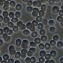 천인지한의원 이미지